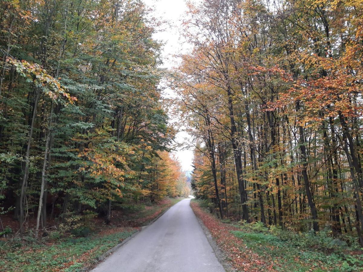 Erholungsheim Im Wienerwald Irenental Exteriér fotografie